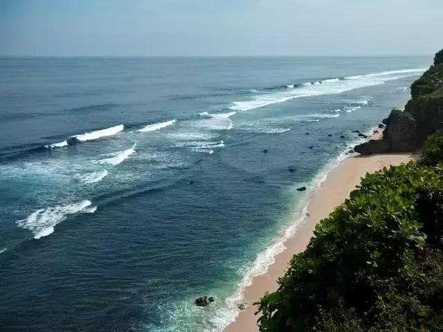 喜大普奔完整版视频,喜大普奔完整视频