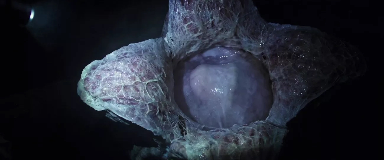 异形契约值得深思吗,异形契约巨型异形