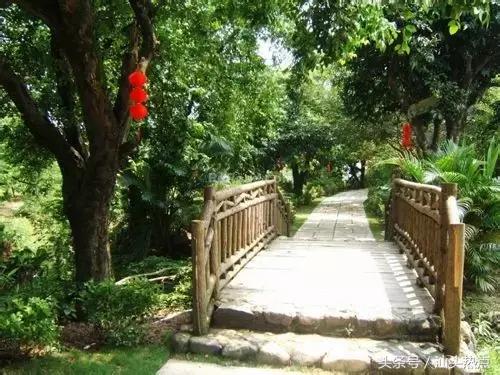 汕头十大公园,汕头公园免费排行榜