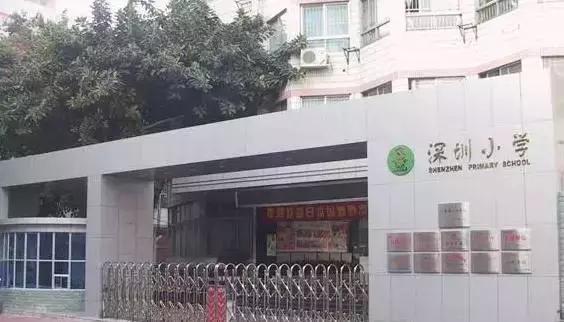 深圳龙岗区私立小学排名一览表,深圳龙岗坂田小学排名一览表