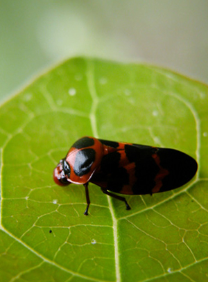 回忆一下2018年的神兽们,记录曾经神兽们的点点滴滴