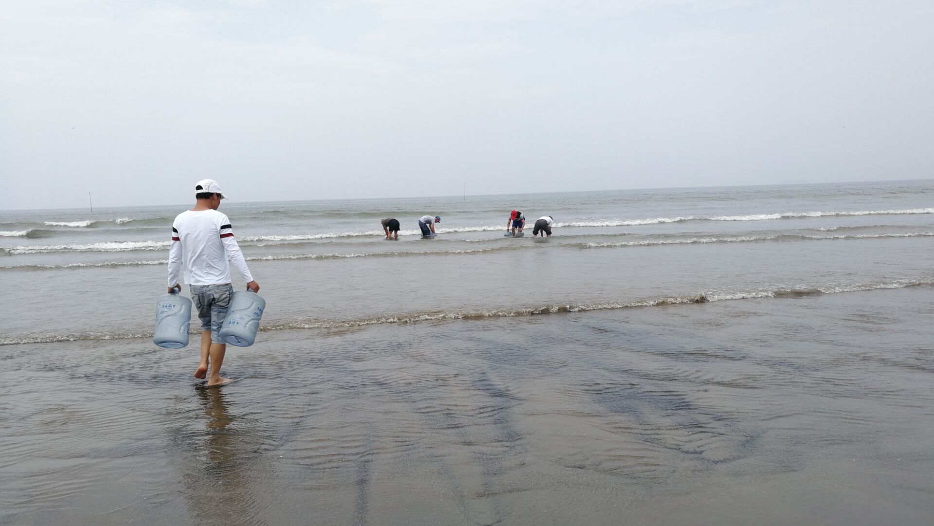 黄蛤怎么捕食,挖青蛤的正确方法视频