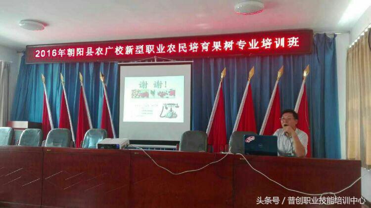 葡萄种植管理技术唐老师,如何管理葡萄才能高产的技术