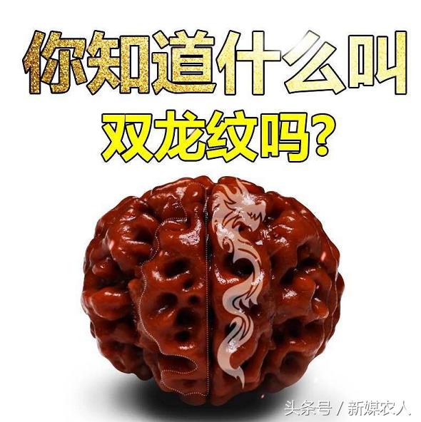 人工自然包浆的大金刚菩提,大金刚菩提的正确盘玩方法