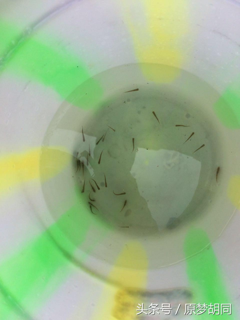 西藏之旅到达拉萨,去拉萨12天之行