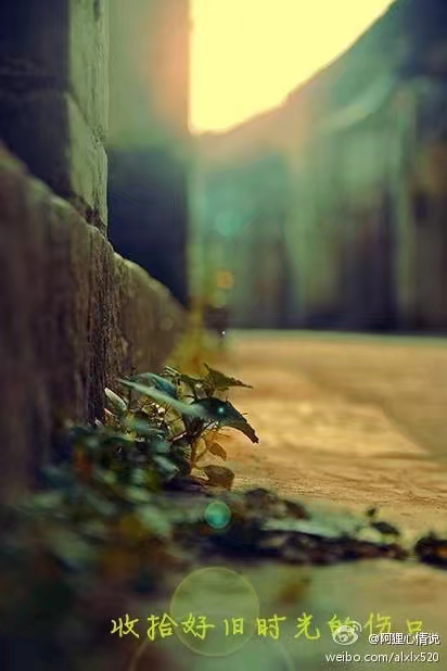 别来无恙你别来我无恙的意思,你别来我无恙的意思是什么