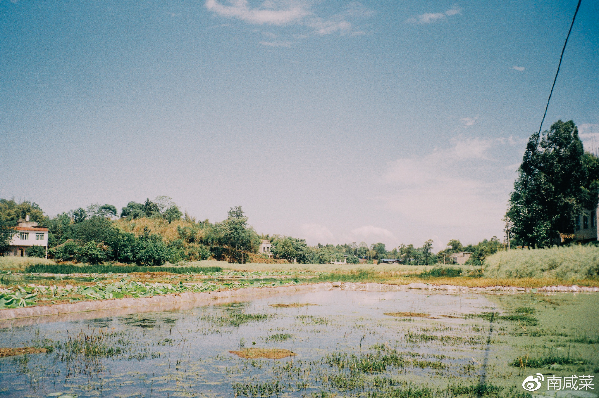 理光r1s胶片相机,理光yf-11s胶片相机