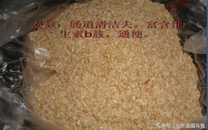 画眉鸟的叫声视频播放,画眉鸟的叫声藏有哪些知识