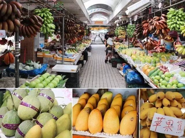 鑰嶉叿鎸囧崡,娓歌墖鐜╄浆鍗楁矙缇ゅ矝