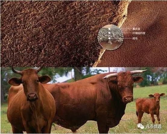 怎样保养包包更有光泽度,名牌包包实用保养指南