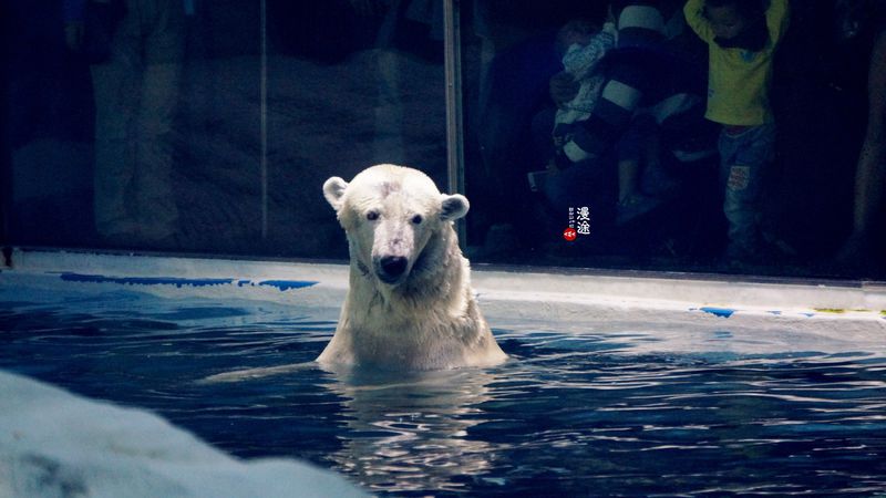长隆亲子两大两小旅游攻略,珠海长隆横琴湾酒店亲子攻略