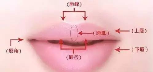 嘴巴没有唇形怎么化,唇形外扩怎么化