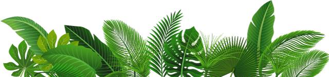 鑰嶉叿鎸囧崡,娓歌墖鐜╄浆鍗楁矙缇ゅ矝