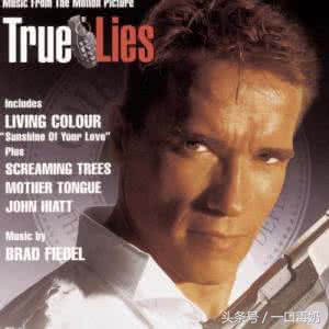 中国电影最好看的十个枪战片,经典动作枪战片排行榜前十名