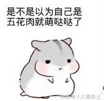 又到了一年一度的小龙虾盛宴了大家如何在家吃到小龙虾？西安这条街美食秒杀回民街统统吃一遍才过瘾？