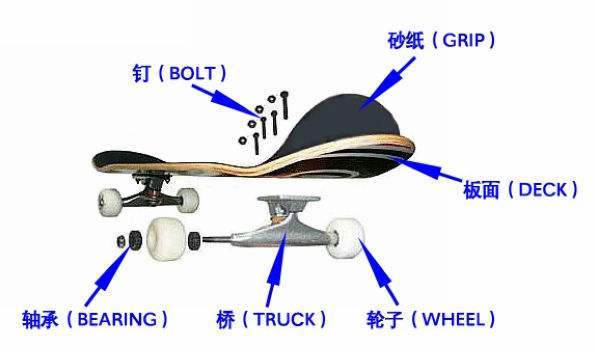 滑板初级入门选板,有基础该怎么选滑板
