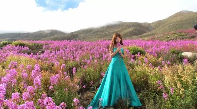 川西最美草原,川西绝美小众秘境草地