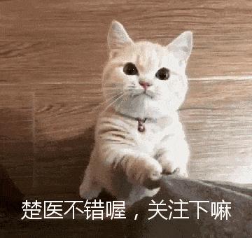 协和皮肤科专家：80%的HPV感染就像感冒，可自愈