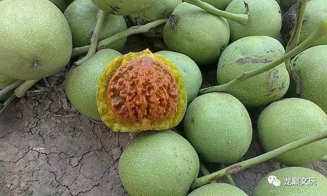 核桃盘出玛瑙红技巧,怎样看出核桃是否能盘红