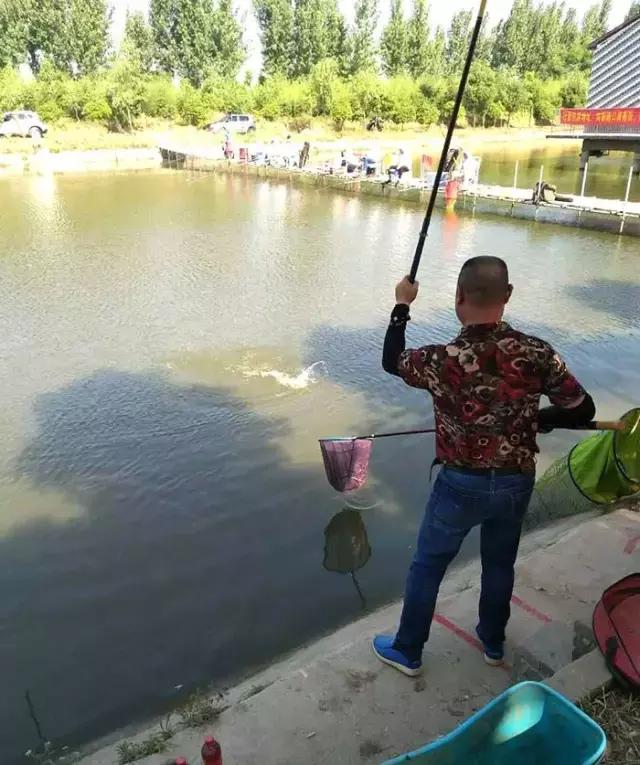河南最近有哪些钓鱼比赛,南阳钓鱼竞技比赛