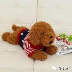 灰产如何规避打击,灰产处置