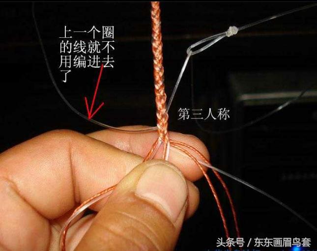 东东画眉鸟套之各种好看实用的绳套你了解吗？