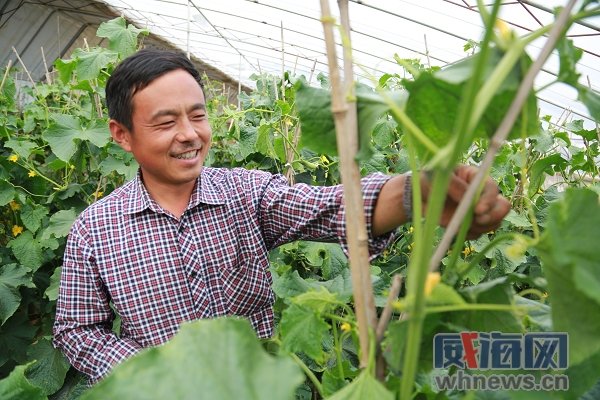 初村医疗器械产业园,初村镇有什么发展