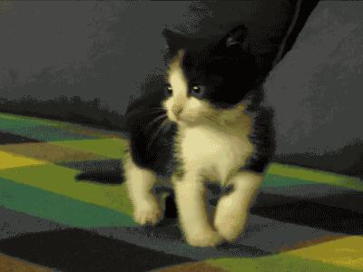 好吃网红蛋挞,网红蛋挞葡式蛋挞