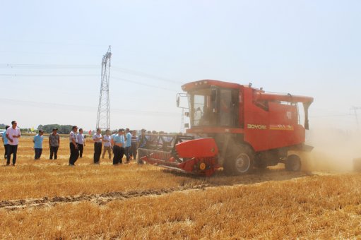 中农博远4x玉米收获机,中农博远玉米收割机视频