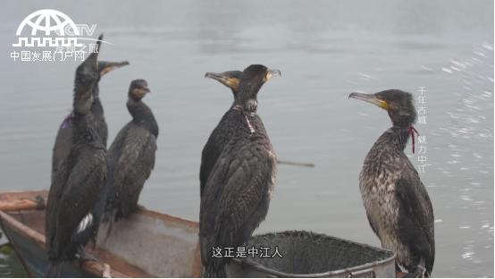 美丽中华行尧坝,美丽中华行视频完整版