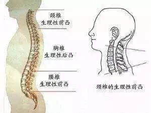 睡觉选择什么样的枕头,如何给孩子选择枕头