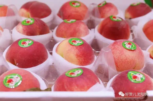 有好贺｜无公害蔬果产地直送、进口食品极速送货，沈阳购电商直营店开业啦！