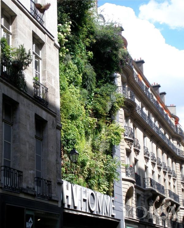 还在和游客一起挤着买买买？跟魅力惠一起体验巴黎买手文化