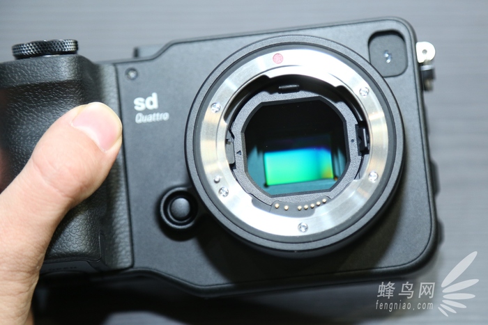 适马sdq怎么样,适马sdq样张