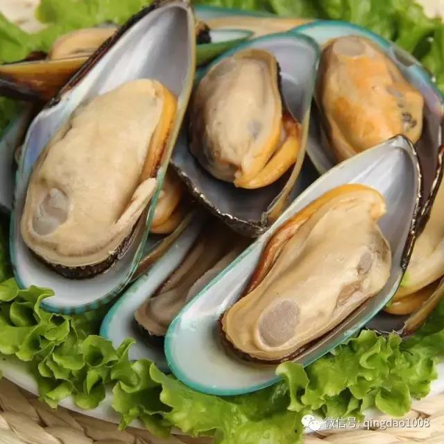 新西兰青口贝规格,新西兰青口贝1000g多少钱