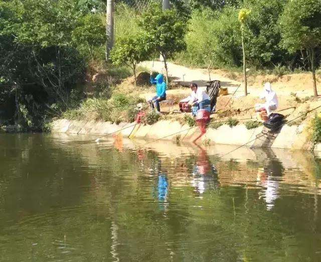 河南最近有哪些钓鱼比赛,南阳钓鱼竞技比赛