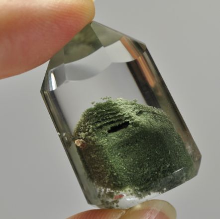 绿幽灵的种类及图片,绿幽灵分类的寓意