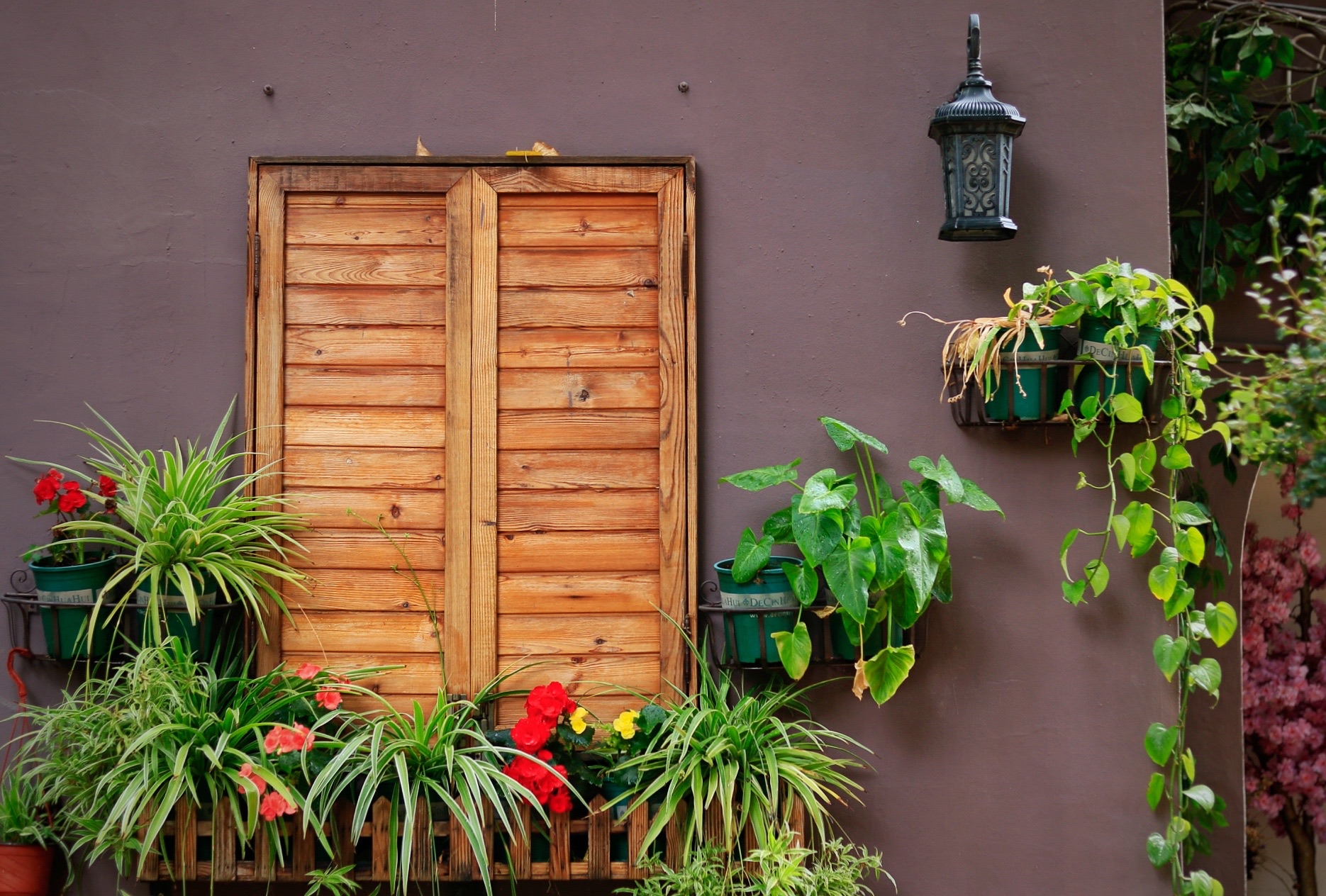 佳能70d配24mm头图片,佳能70d配18-55镜头怎么样