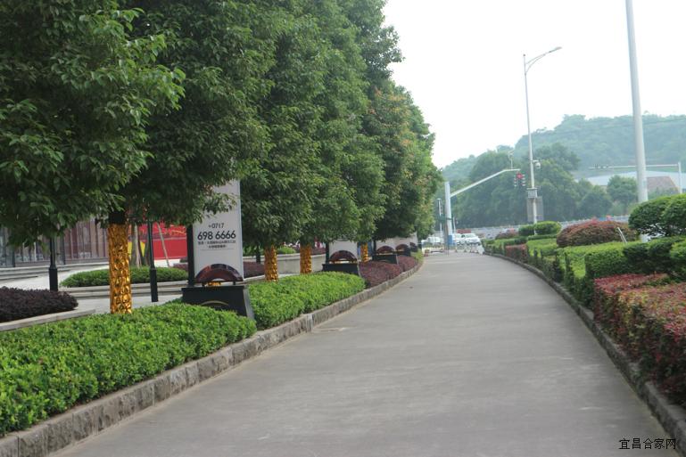 宜昌保利时代样板,宜昌保利时代的房子值得买吗