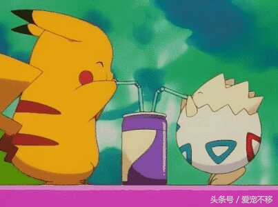 可爱萌哒哒的小仓鼠,萌哒哒的可爱的小仓鼠