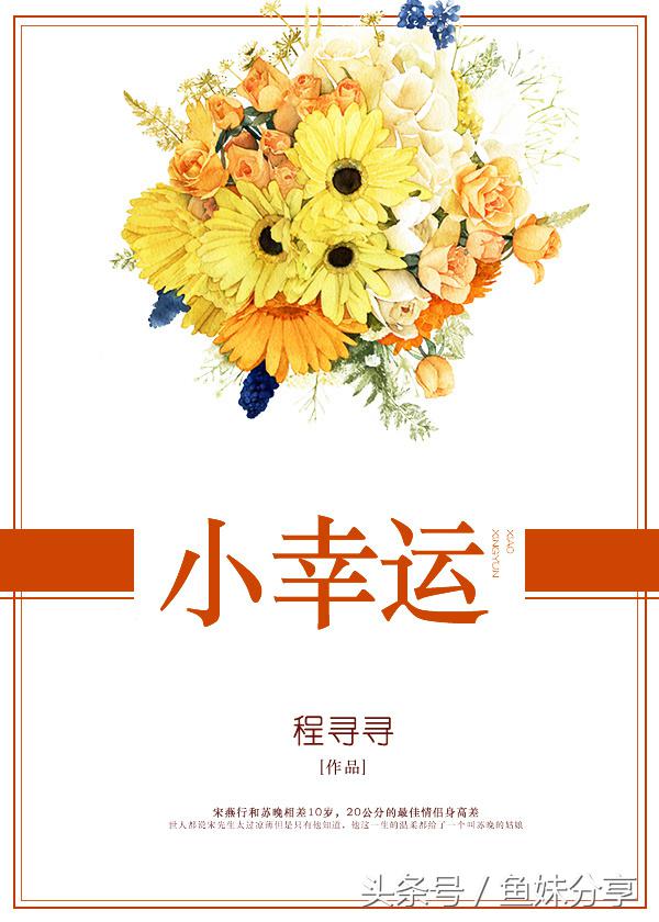 鱼妹书单甜文,甜文推荐鱼妹书单