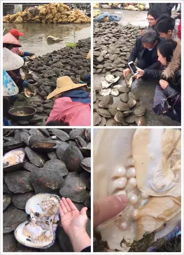 珠宝珍珠怎么选择,珍珠珠宝如何鉴别等级