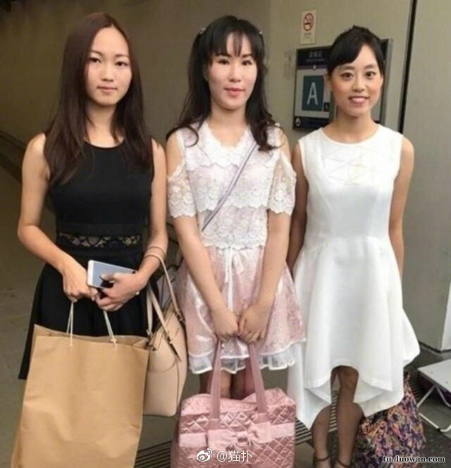 每日一笑佛系猫咪图片,每日一笑中二少年的寻猫启事