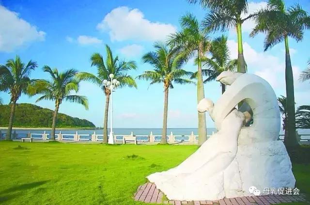 珠海值得一去的景点,珠海一日游最值得去的地方