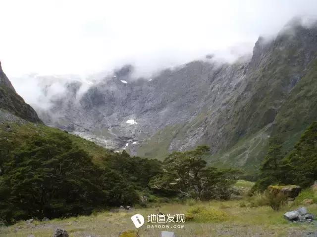 痛哭！即使今天抢不到新西兰打工旅行签证，也不能放弃新西兰啊！