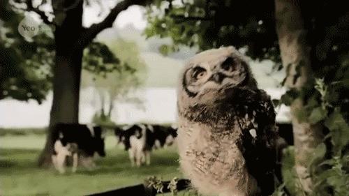 这些性价比超高的水乳你值得拥有,几十块水乳套装推荐学生