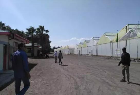 亚洲最大的玫瑰花基地在哪里,世界最著名玫瑰基地