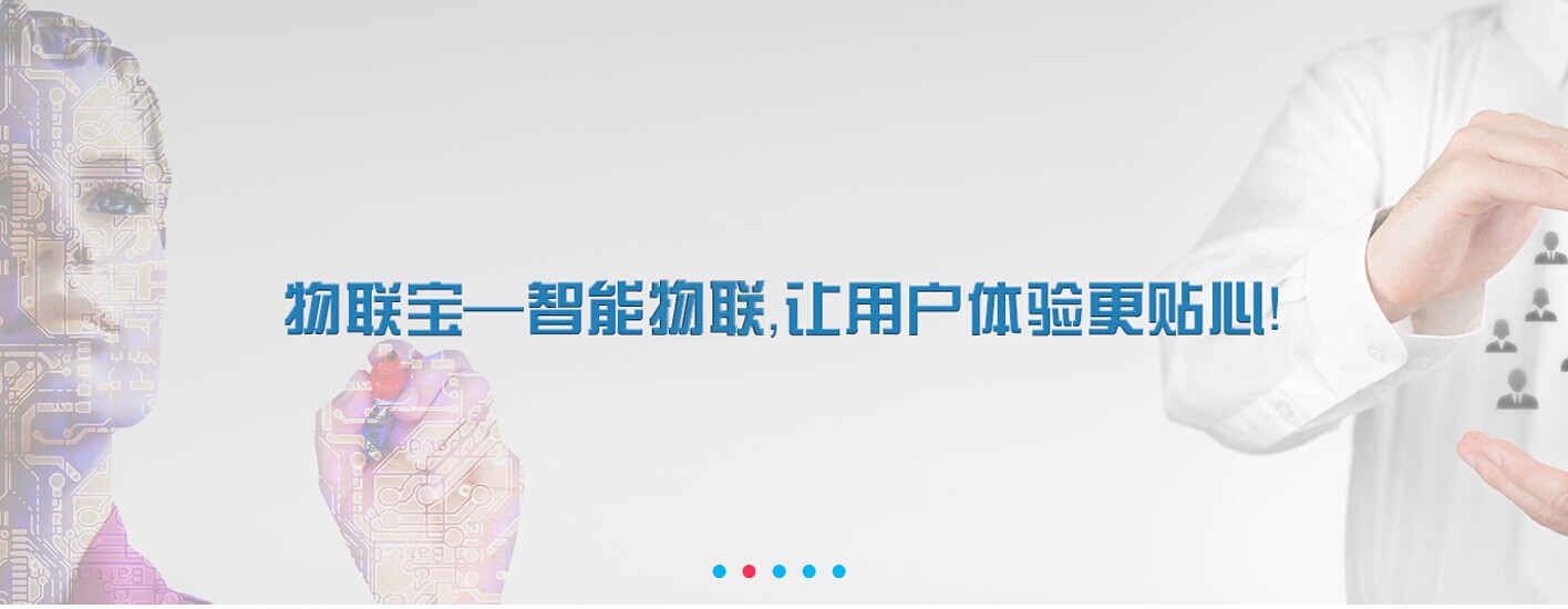 盛世龙图物联技术,盛世龙图有用吗