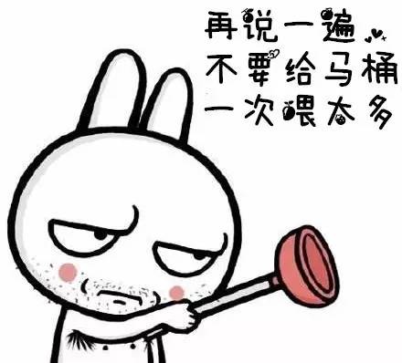 秘鲁豚鼠纪录片,豚鼠秘鲁荷兰猪