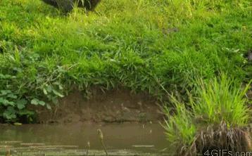 这个底下是铺的什么，感觉踩上去很舒服